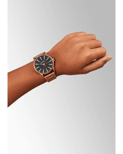 Load image into Gallery viewer, Sentry SS : A356-5145