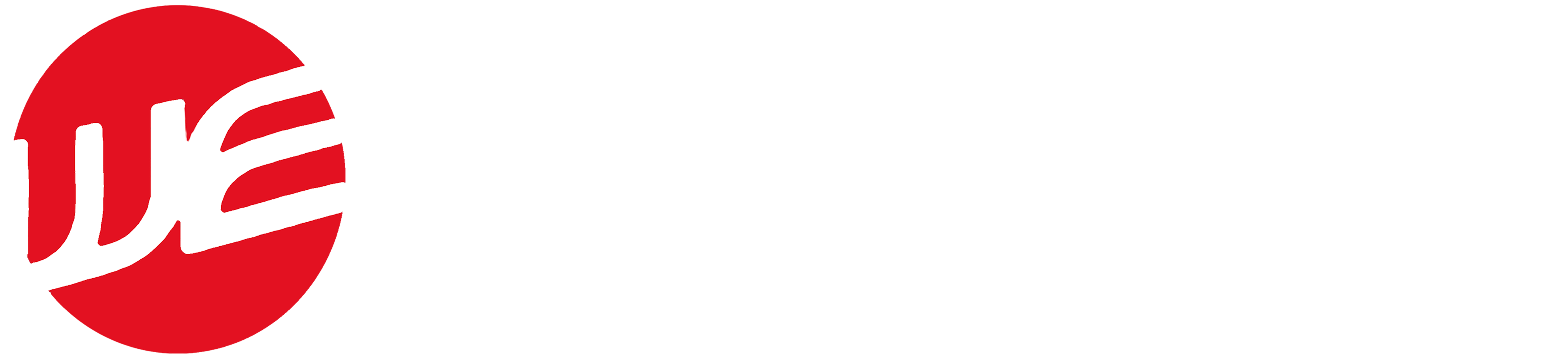 Blacktown Watch Express