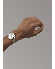 Load image into Gallery viewer, Optimist : A1342-1921