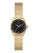 Load image into Gallery viewer, Ted Baker Luchiaa Gold Watch