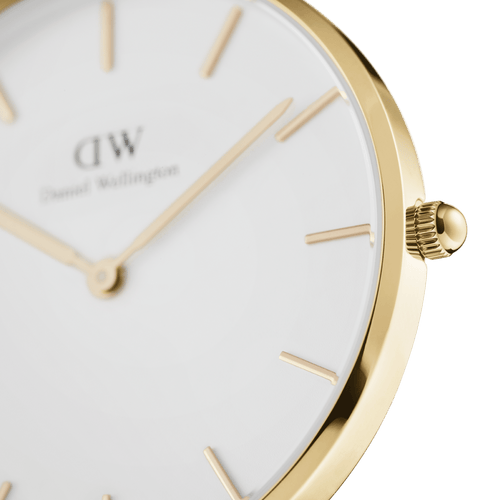 Daniel Wellington Petite 36 Evergold Gold & White Watch