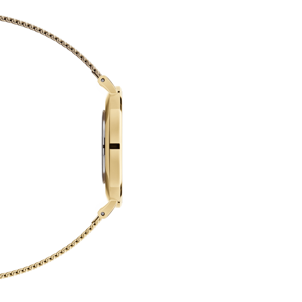 Daniel Wellington Petite 36 Evergold Gold & Black Watch