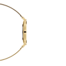 Load image into Gallery viewer, Daniel Wellington Petite 36 Evergold Gold & Black Watch