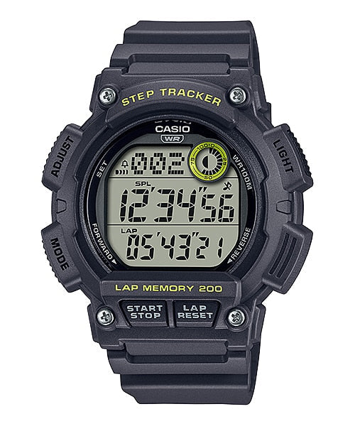 WS2100H-8A