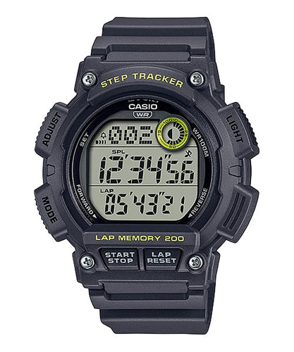 WS2100H-8A