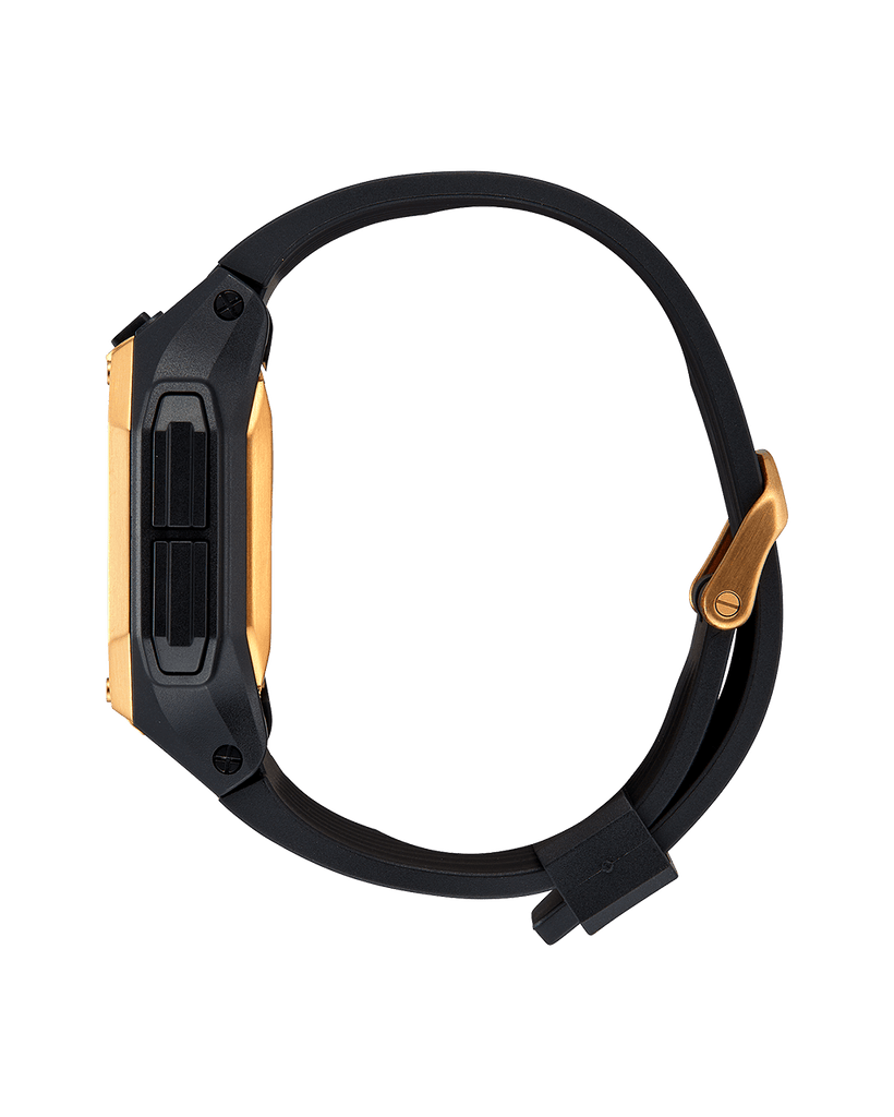 Regulus : A1180-010