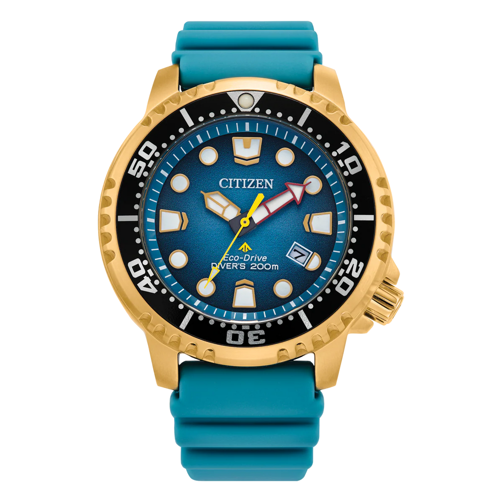 Promaster Marine BN0162-02X
