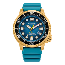 Load image into Gallery viewer, Promaster Marine BN0162-02X