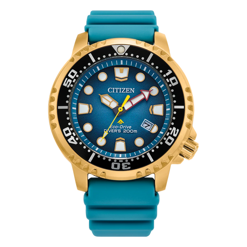 Promaster Marine BN0162-02X