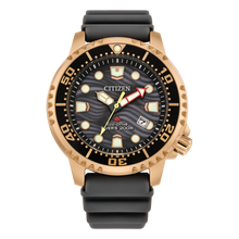 Load image into Gallery viewer, Promaster Marine BN0163-00H