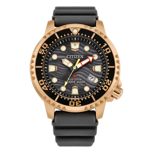 Promaster Marine BN0163-00H