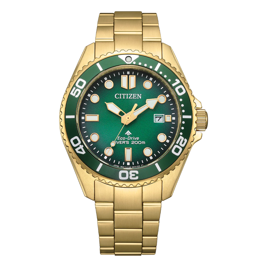 Promaster Marine BN0262-59W