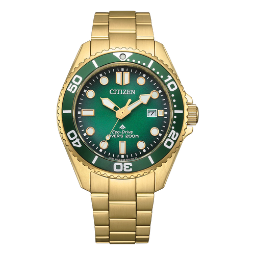 Promaster Marine BN0262-59W