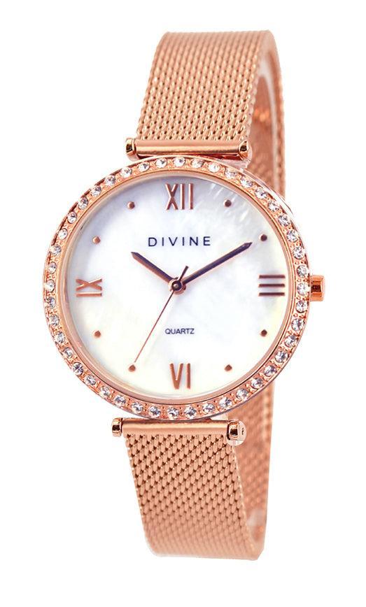 DW1117-3M