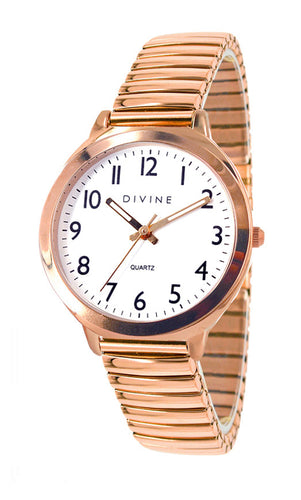 DW1119-3E