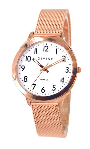 DW1119-3M