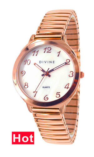 DW1120-3E