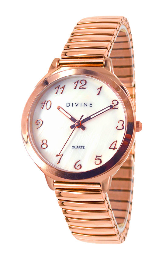 DW1120-3E