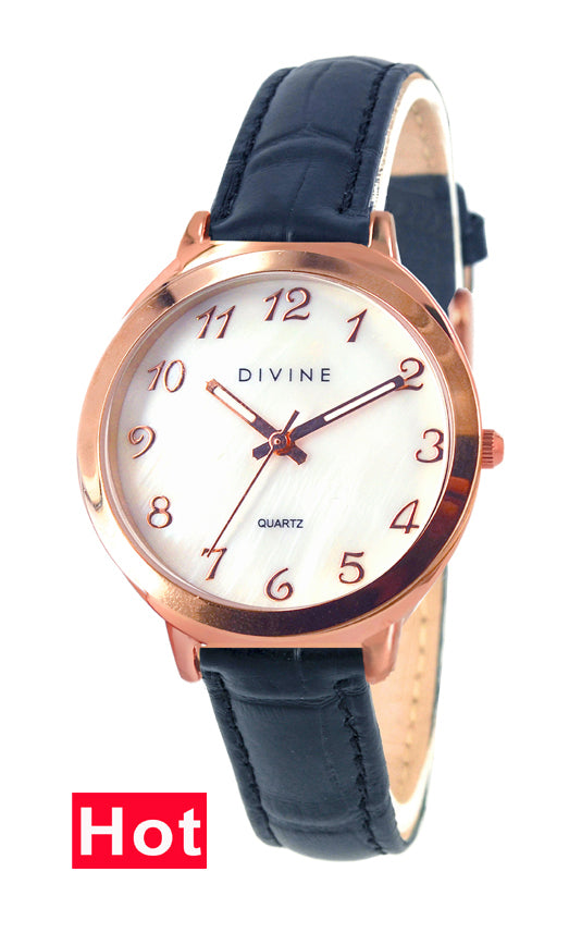 DW1120-3L