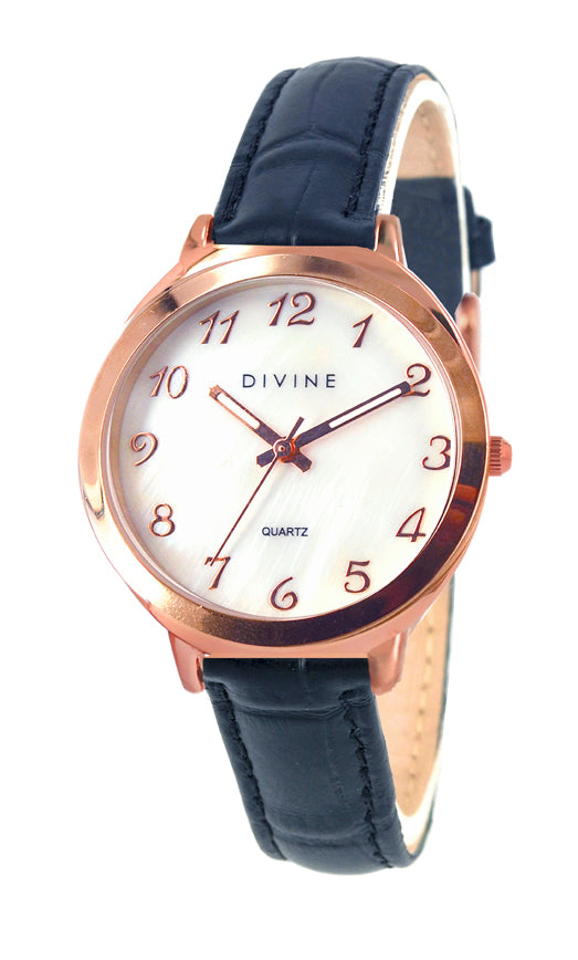 DW1120-3L