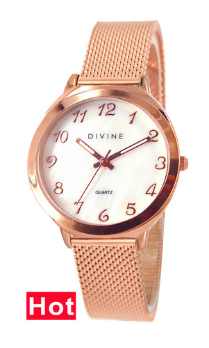 DW1120-3M