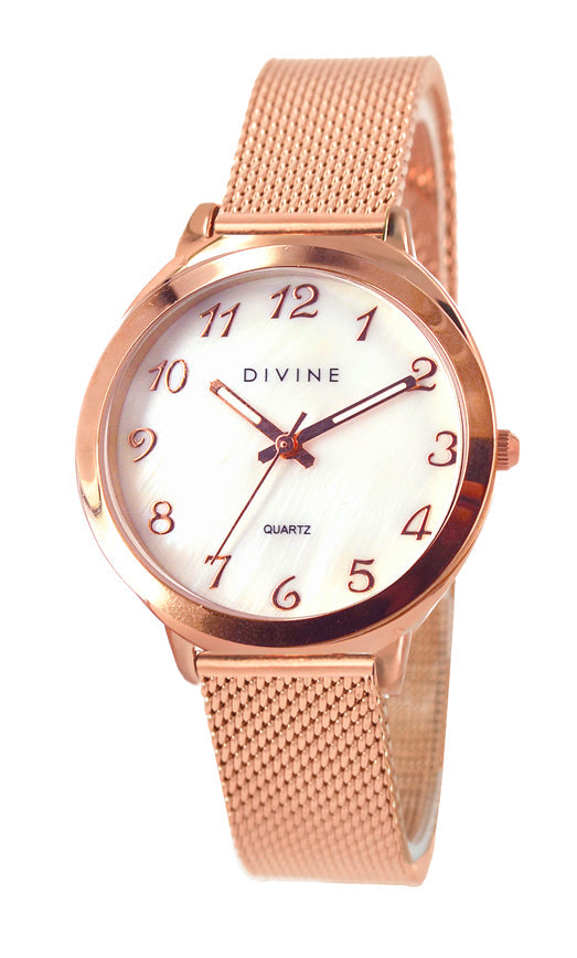 DW1120-3M