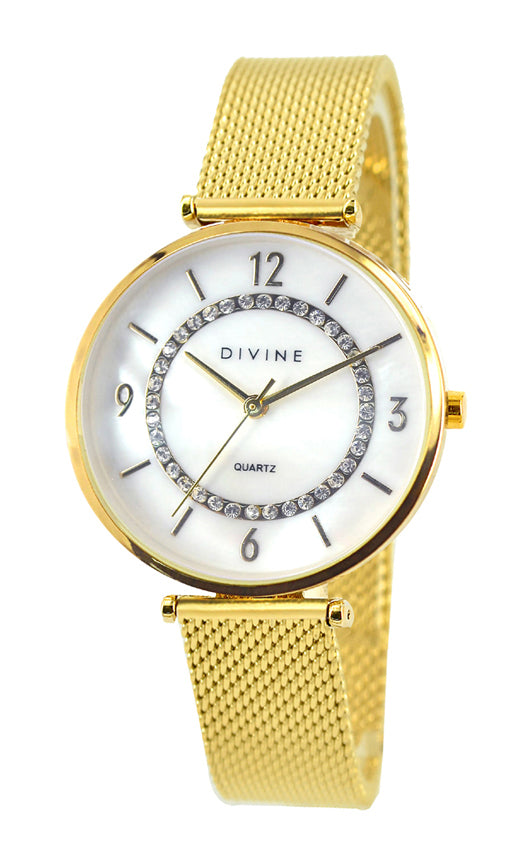 DW1123-2M