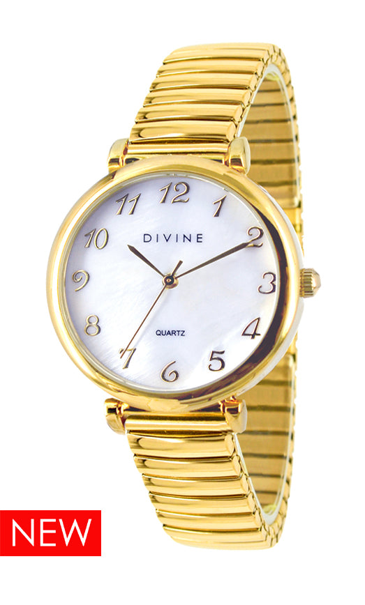 DW1124-2E