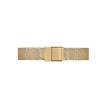 Load image into Gallery viewer, Daniel Wellington Quadro/Petite 10 Pressed Evergold Gold Watch Band