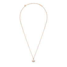 Load image into Gallery viewer, Daniel Wellington Aspiration Necklace Rose Gold