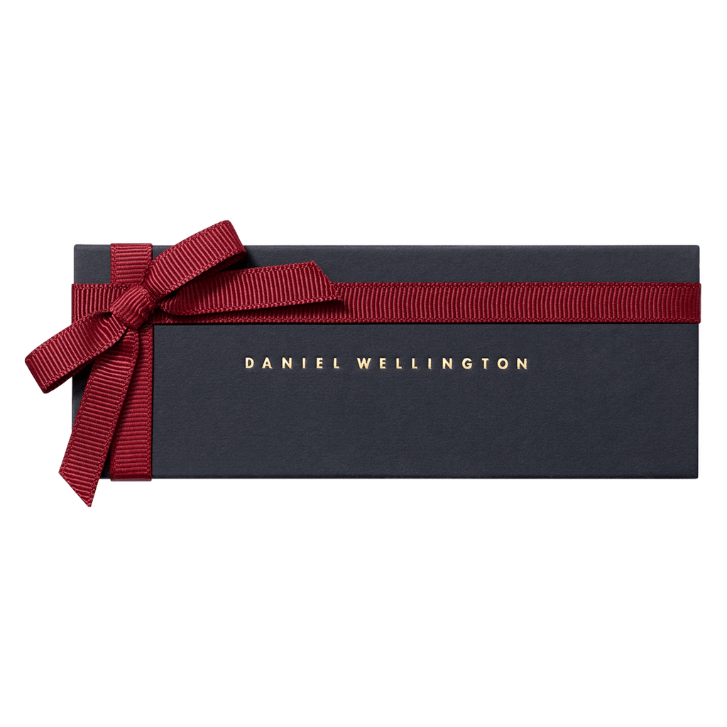 Daniel Wellington Classic 20 Bayswater Silver Watch Band