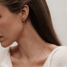 Load image into Gallery viewer, Daniel Wellington Elan Earrings Rose Gold