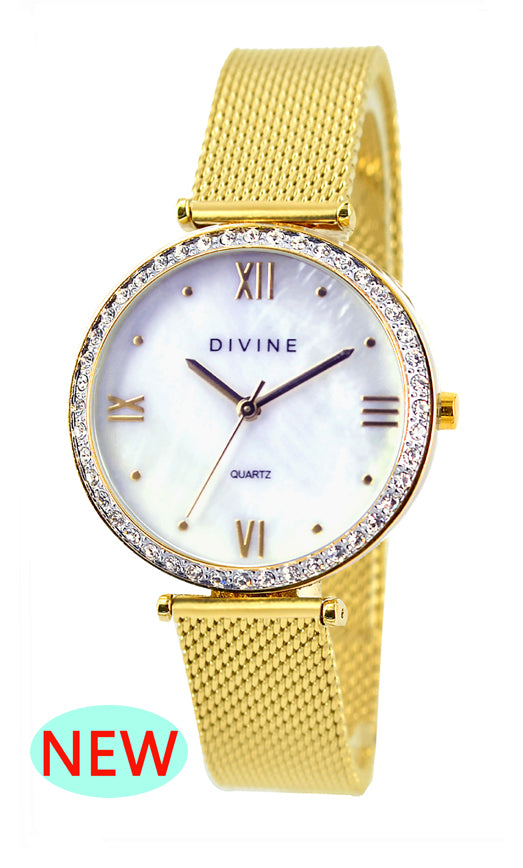 DW1117-2M