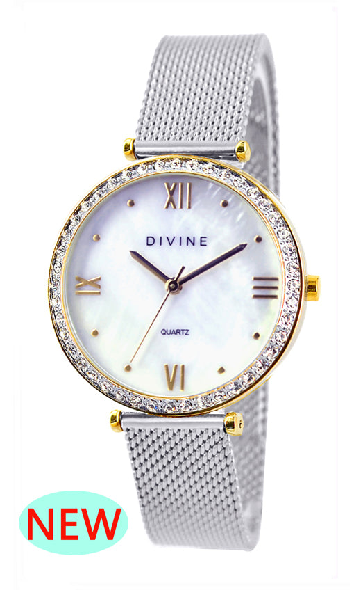 DW1117-4M