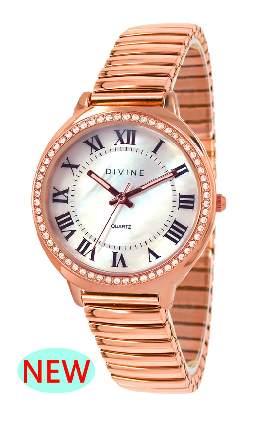 DW1118-3E