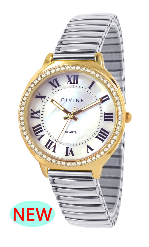 DW1118-4E