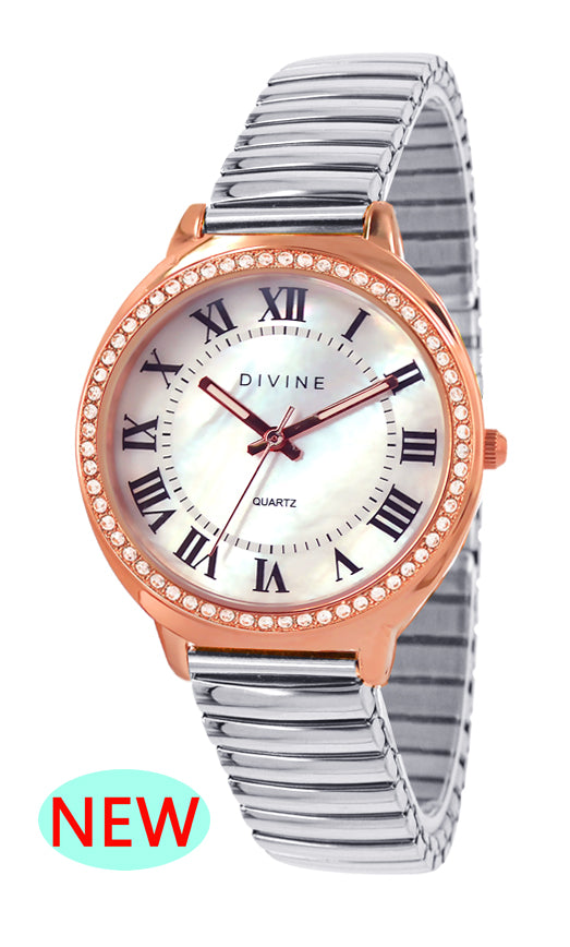 DW1118-5E