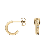 Load image into Gallery viewer, Daniel Wellington Classic Lumine Earrings Gold