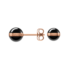 Load image into Gallery viewer, Daniel Wellington Aspiration Earrings