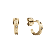 Load image into Gallery viewer, Daniel Wellington Classic Lumine Earrings Gold