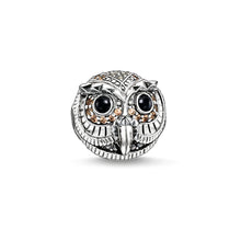 Load image into Gallery viewer, Thomas Sabo Bead &quot;Owl&quot;