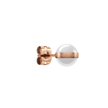 Load image into Gallery viewer, Daniel Wellington Aspiration Earrings