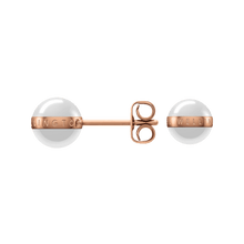 Load image into Gallery viewer, Daniel Wellington Aspiration Earrings