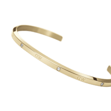 Load image into Gallery viewer, Daniel Wellington Classic Lumine Bracelet Gold