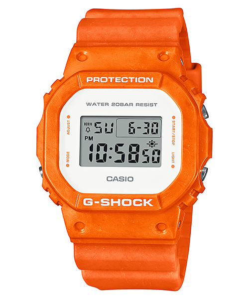 DW5600WS-4D